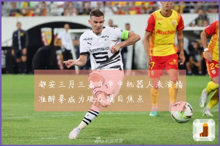 都安三月三嘉年华中机器人表演精准醉拳成为观众瞩目焦点