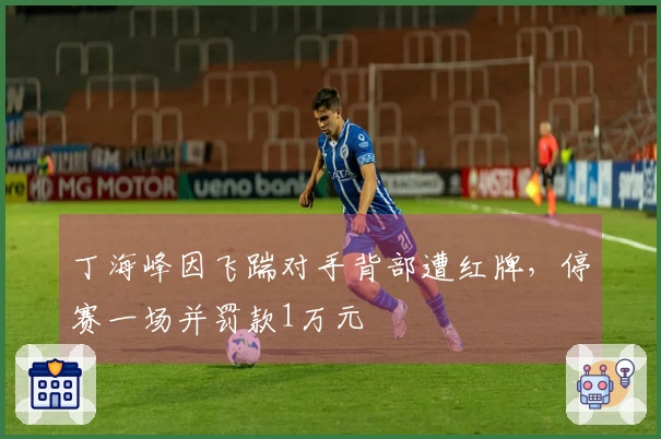 丁海峰因飞踹对手背部遭红牌，停赛一场并罚款1万元