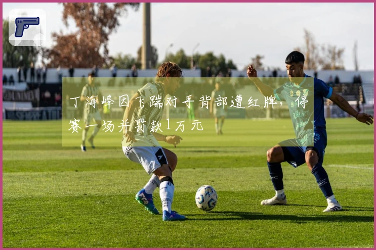 丁海峰因飞踹对手背部遭红牌，停赛一场并罚款1万元