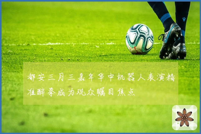 都安三月三嘉年华中机器人表演精准醉拳成为观众瞩目焦点