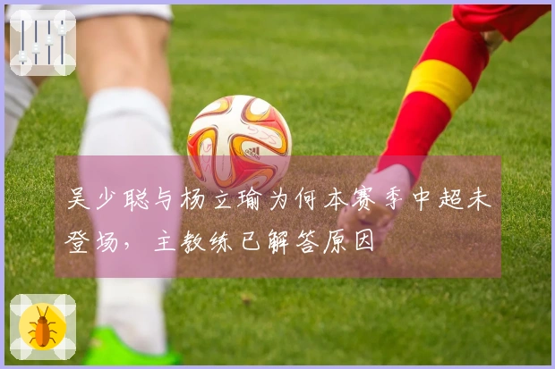 吴少聪与杨立瑜为何本赛季中超未登场，主教练已解答原因
